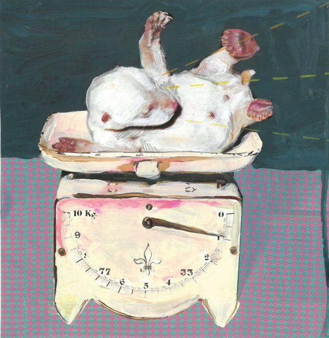 Ekaterina Leo, Zoo VII, 2018, Mixed Media auf Color Print, 21 x 21 cm