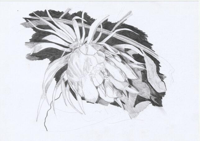 Philipp Kummer, o.T. 3, 2021, Bleistift auf Papier, 21 x 29,8 cm