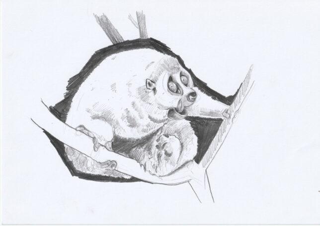 Philipp Kummer, o.T. 4, 2021, Bleistift auf Papier, 21 x 29,8 cm