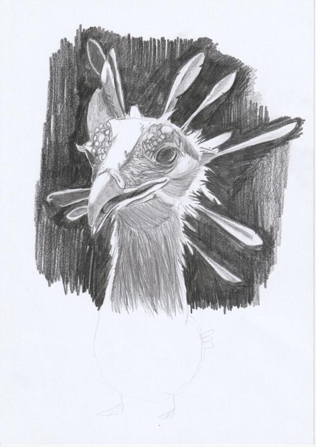 Philipp Kummer, o.T. 7, 2021, Bleistift auf Papier, 29,8 x 21 cm