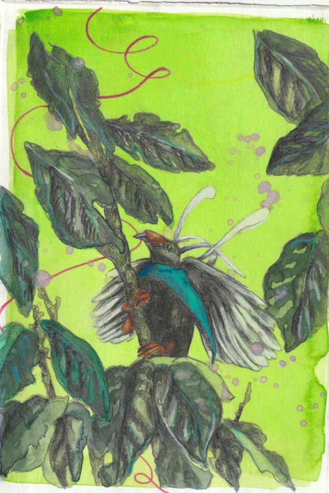 Ekaterina Leo, Paradise lost VI, 2023, Acryl, Aquarell, Buntstift und Bleistift auf Bütte, 17 x 11.5 cm