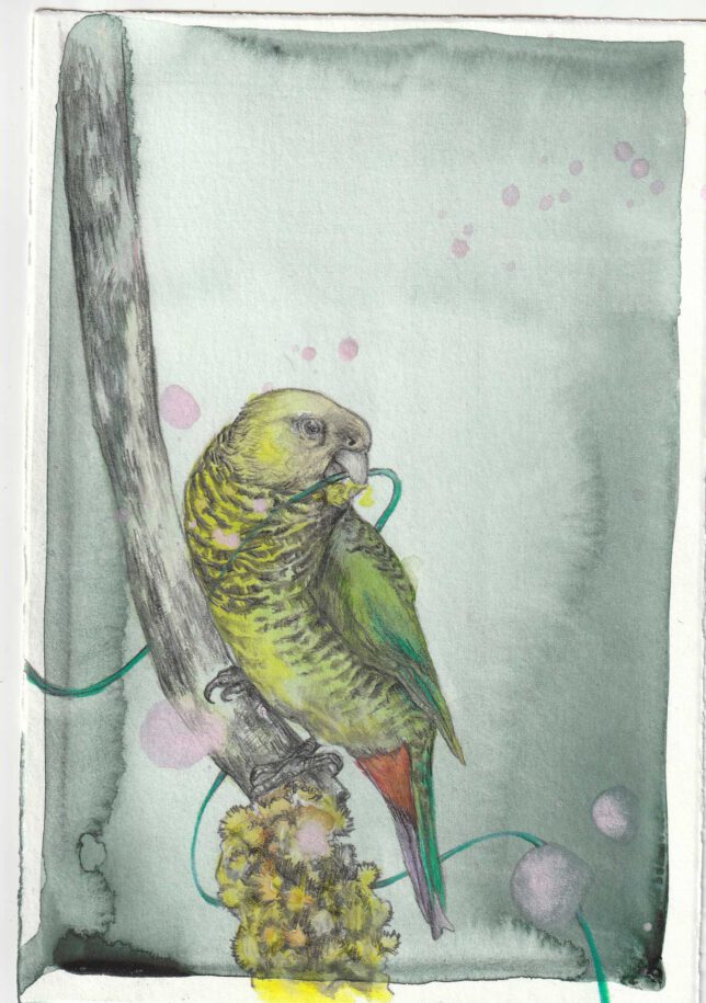 Ekaterina Leo, Paradise lost IV, 2023, Acryl, Aquarell, Buntstift und Bleistift auf Bütten, 17 x 11.5 cm