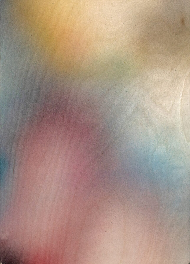 Mison Schreff, teredo (2), Acryl auf Holz, 2025, 21 x 29 cm